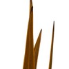 Vickerman 18-30" Snake Grass, Dried - 36 Stems - 4 of 4