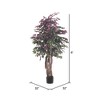 Vickerman Artificial Capensia Executive Potted Tree - 4 of 4