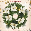 24" Pre-Lit Christmas Wreath with Berries Pinecones Poinsettia Flowers Lighted Artificial Christmas Wreath for Home Indoor Outdoor Decorations - 2 of 4