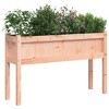 vidaXL - Solid Wood Garden Planters with Legs – Outdoor Flower Boxes, Raised Beds for Patio/Balcony, 43.3"x12.2"x27.6" - 3 of 4