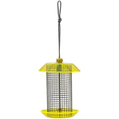 Birds Choice Color Pop Collection Small Sunflower Seed Feeder 6 ...