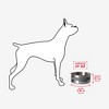 BUILT 64 Oz Elevated Dog Food Bowl, Anti-Slip Base, Soft Carry Ring, Double-Wall 18/8 Stainless Steel, BPA-Free, Dishwasher Safe (Gray) - 2 of 4