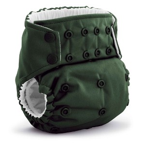 Kanga Care Rumparooz G3  AWJ Reusable One Size Pocket Cloth Diaper 6-55 lbs - 1 of 4