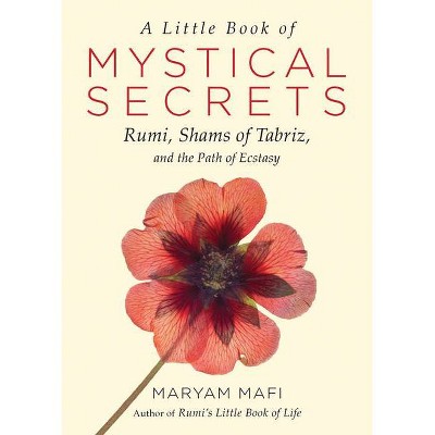 A Little Book of Mystical Secrets - by  Maryam Mafi (Paperback)