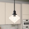 Hudson and Canal 8" Wide Pendant with Glass Shade - 4 of 4
