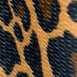 leopard print