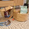 THE LICKER STORE Felix Cat-Shaped Hand Woven Water Hyacinth Nesting Pet Toy Organizer Baskets - 2 of 4