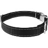 Country Brook Petz Premium Reflective Nylon Dog Collar - 3 of 4