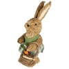 Northlight 10.5" Sisal Easter Bunny Rabbit Spring Figure with Carrot Basket - Brown/Green - image 3 of 4