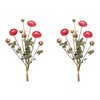 Melrose Ranunculus Bundle (Set of 2) - 2 of 3