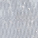 coastal white