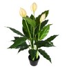 Vickerman 37" Artificial Potted Green Peace Lily Real Touch Plant. - 2 of 4