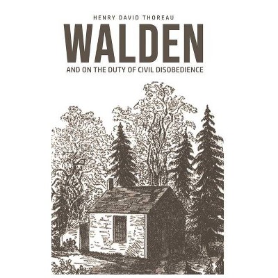 from walden essay by henry david thoreau summary