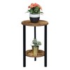 23.75" Graystone 2 Tier Plant Stand - Breighton Home - 3 of 4