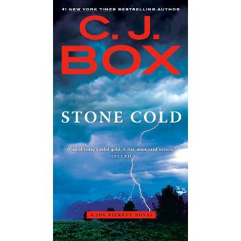Stone Cold - (Joe Pickett Novel) by  C J Box (Paperback)