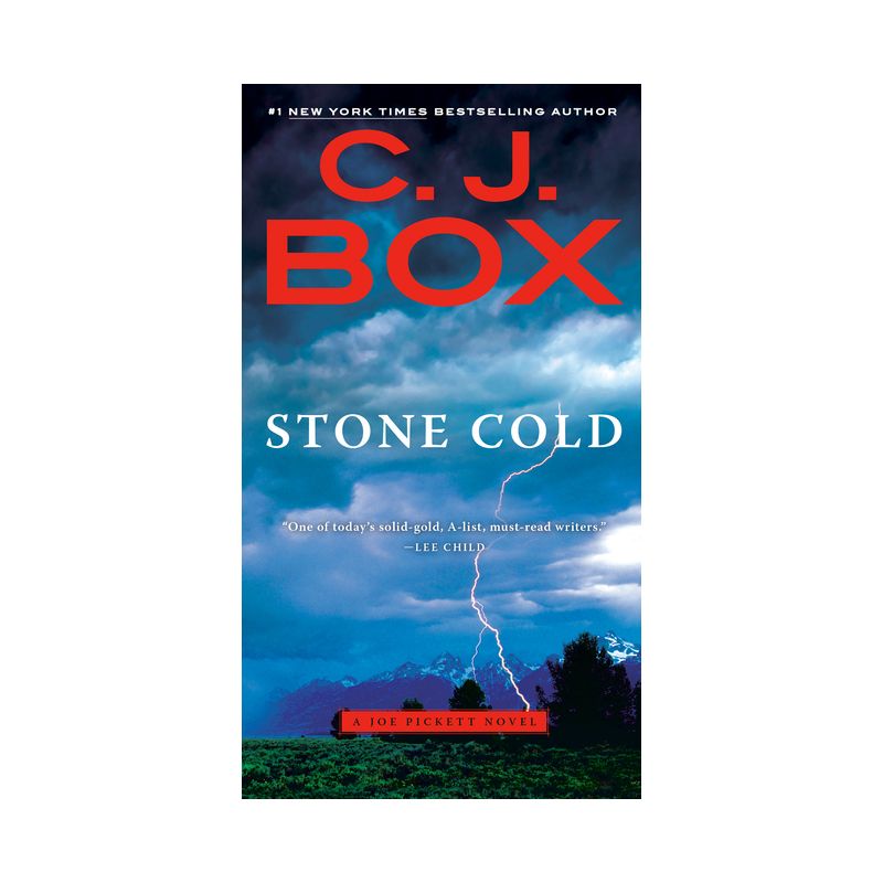 Stone Cold - (Joe Pickett Novel) by  C J Box (Paperback), 1 of 2