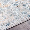 Hauteloom Darvel Luxe Rug - 4 of 4