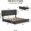coucheta Bed Frame with Headboard and 4 Storage Drawers, Upholstered  with Stitched Button Tufted - 3 of 4