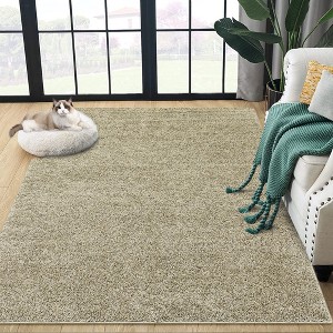 Solid Shaggy Rug Modern Indoor Carpet Fluffy Plush Rug Shag Area Rug Home Decor, 4'x6' Taupe - 1 of 4