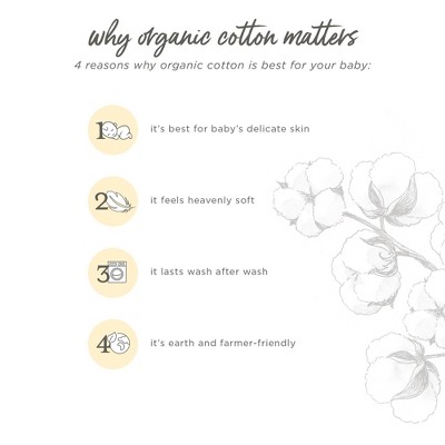 Organic Cotton Jersey Knit Cloud White Fitted Crib Sheet