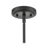 Millennium Lighting Ashford 1 - Light Pendant in  Brushed Nickel - 3 of 4