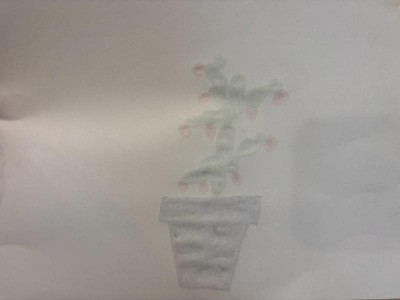 Guest review image 1 of 2, zoom in