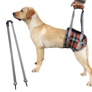 Pet Dog Leg Support Sling Adjustable Retractable Breathable Lift Harness For Eldery Dogs Injured Rear Leg - 1 of 4