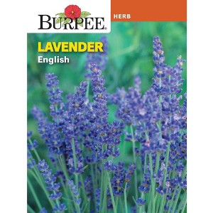 Burpee Lavender English Herb Seeds - 1 of 2