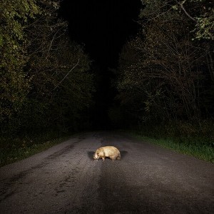 Stonks - Badger (CD) - 1 of 1