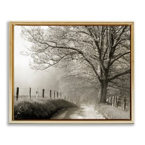 Stupell Industries Rural Scenery Fenced Path, 25" x 31" - 1 of 4