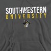 Southwestern University Official Stacked Adult Pull-Over Hoodie - 2 of 4