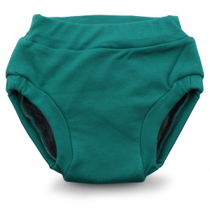 Kanga Care Ecoposh OBV (Organic viscose of Bamboo Velour) Potty Training Pants - 1 of 4