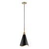 Nuvo Lighting Tango 1 - Light Pendant in  Matte Black/Burnished Brass - 3 of 4
