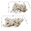 Uttermost Elemental Root Sculptures-Bleached Residi Wood with Natural Formations, Set of 2 - 2 of 2