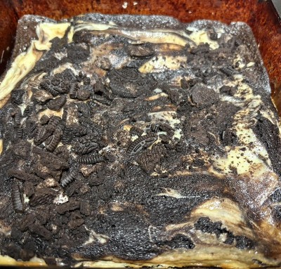 Guest review image 2 of 2, zoom in