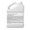 KleanHeat Kerosene Alternative No Smoke or Odor Lamp and Heater Fuel 120 Oz Jug - 2 of 3