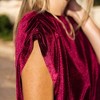 Amaryllis Women's Gathered Up Sleeve Velvet Blouse with Round Neckline Gathered Shoulder Detail Relaxed Fit Soft Fabric - 2 of 4
