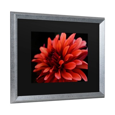 Trademark Fine Art - Kurt Shaffer 'Red Dhalia' Matted Framed Art
