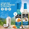 Syruvia Sugar Free Coffee Flavors Variety Pack: Blue Curacao & Coconut 25.4 fl oz Syrup - 2 of 4