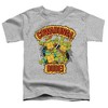 Toddler Boys' Teenage Mutant Ninja Turtles Cowabunga Dude Toddler Tee - 2 of 4