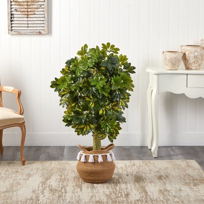 Boho Chic 50'' Faux Schefflera Tree in Cotton Woven Planter