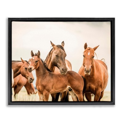 Stupell Industries Horse & Foals Photography, 31" x 25"