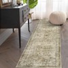 Machine Washable Area Rug Oriental Rug Non-Slip Carpet - 2 of 4