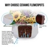 KTMBDW Plant Pots, Ceramic Planters with Drainage Holes,Nursery Planting Pot for Indoor Out Door Plants - 4 of 4