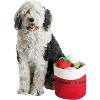 Midlee Christmas Santa Rope Basket - 2 of 4