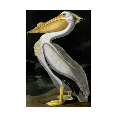 American White Pelican Portrait Canvas Print, 32" x 22"