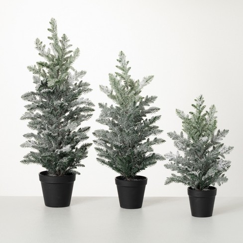 2', 1.7' And 1.3' Sullivans Potted Snowy Pine Tree - Set Of 3, Green ...