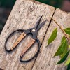 Barebones Garden Scissors - 2 of 4