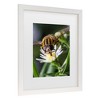 Trademark Fine Art - Steven Ellingson Pray On Flowers Matted Framed Art - 3 of 4