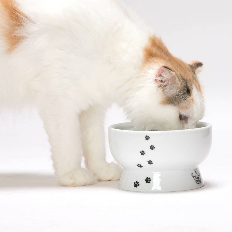 Necoichi Raised Cat Water Bowl, 6 of 11